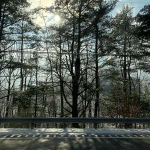 Meet your Posher, Charlotte